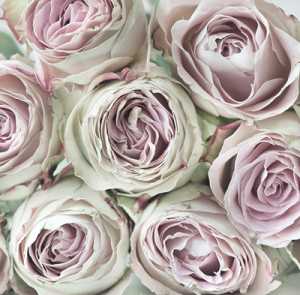 Sagen Vintage Design Sagen Vintage Design