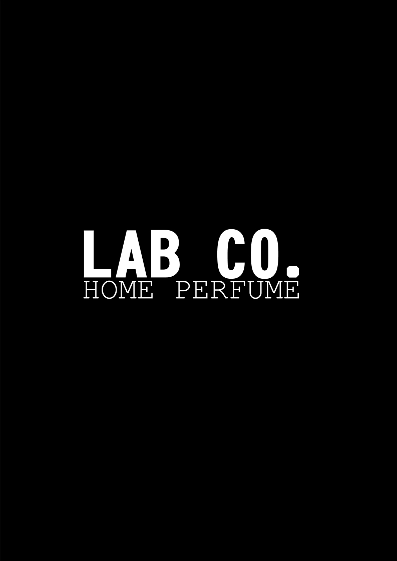 Lab Co. logo negativo.jpg